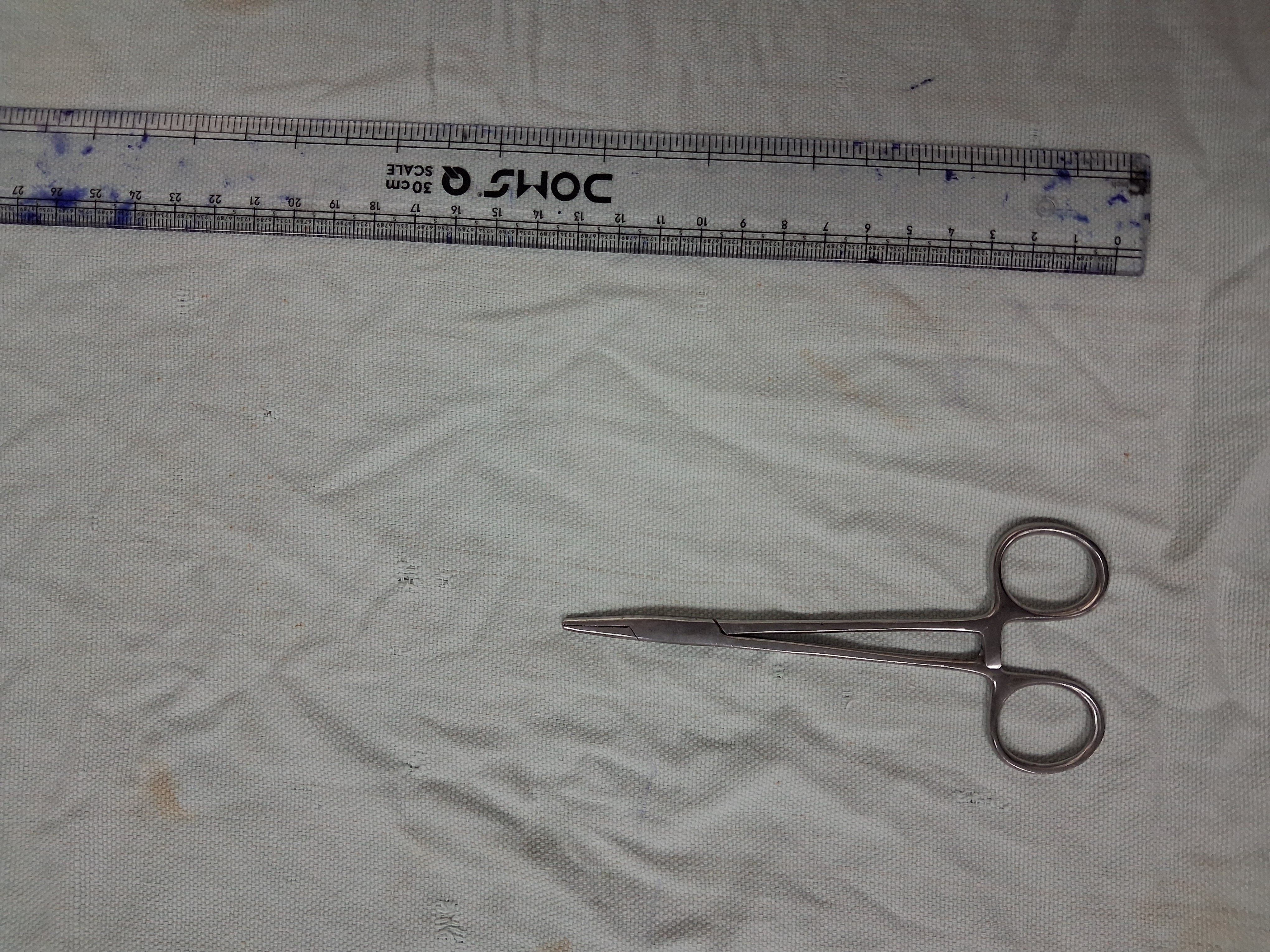 Needle Holder Small